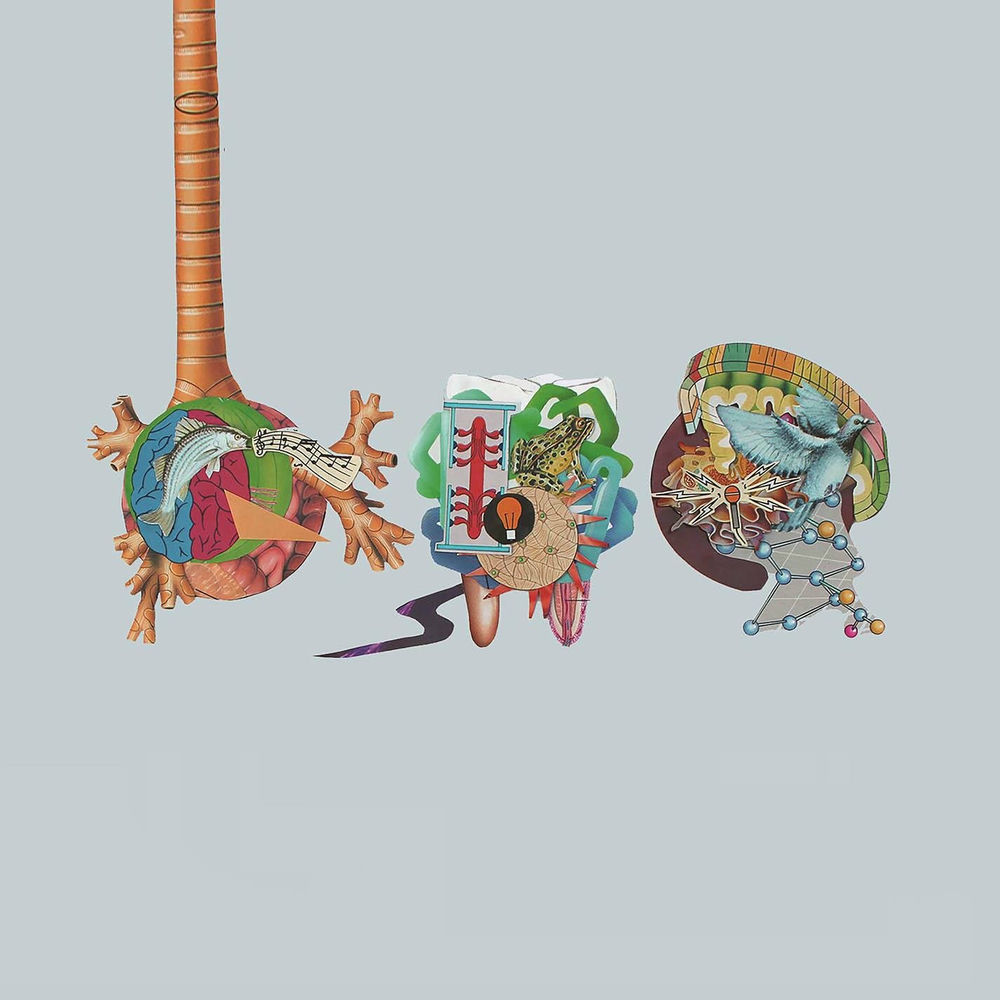 Photo de l'artiste Stevie Toddler