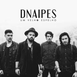 dnaipes