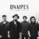 dnaipes