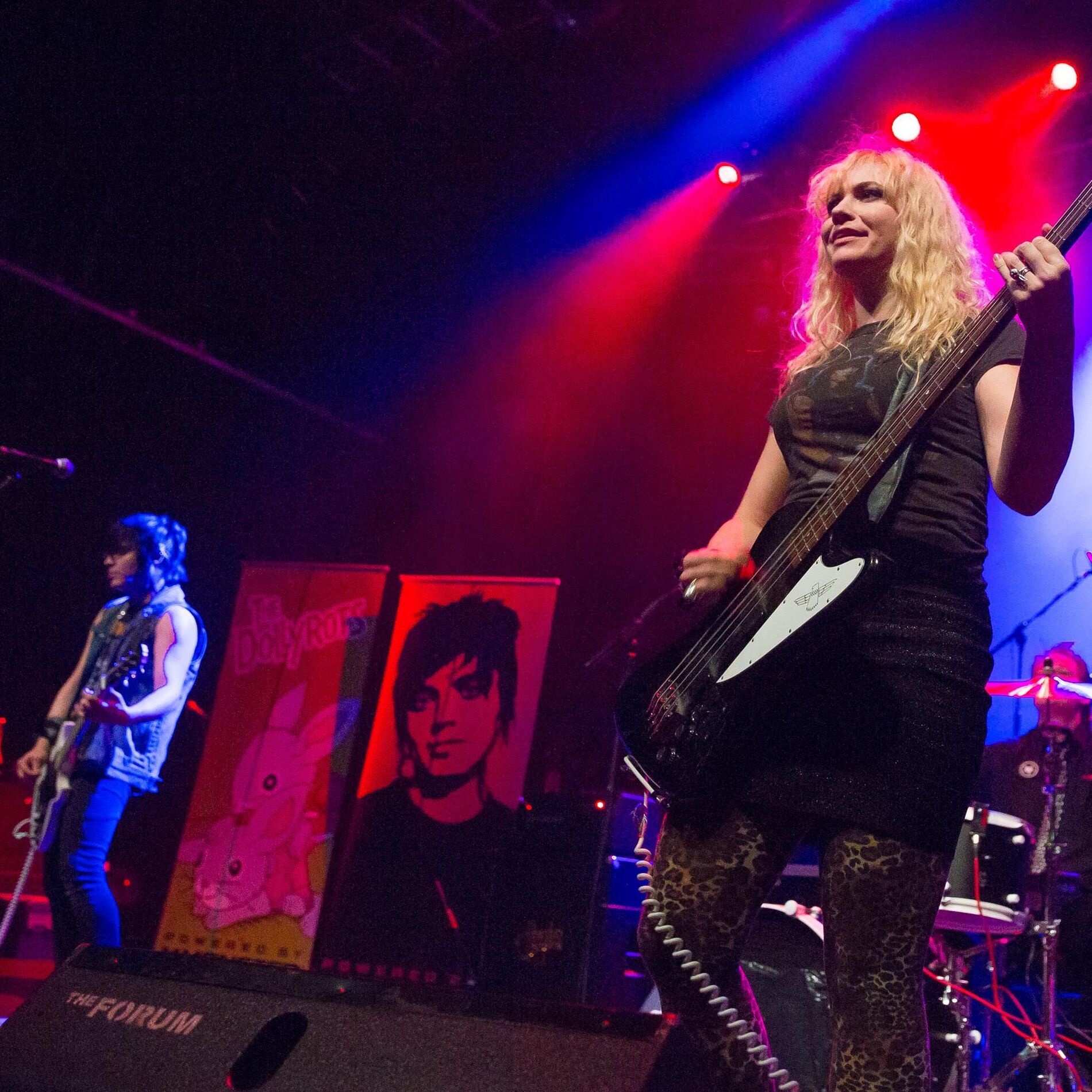 Artist picture of The Dollyrots