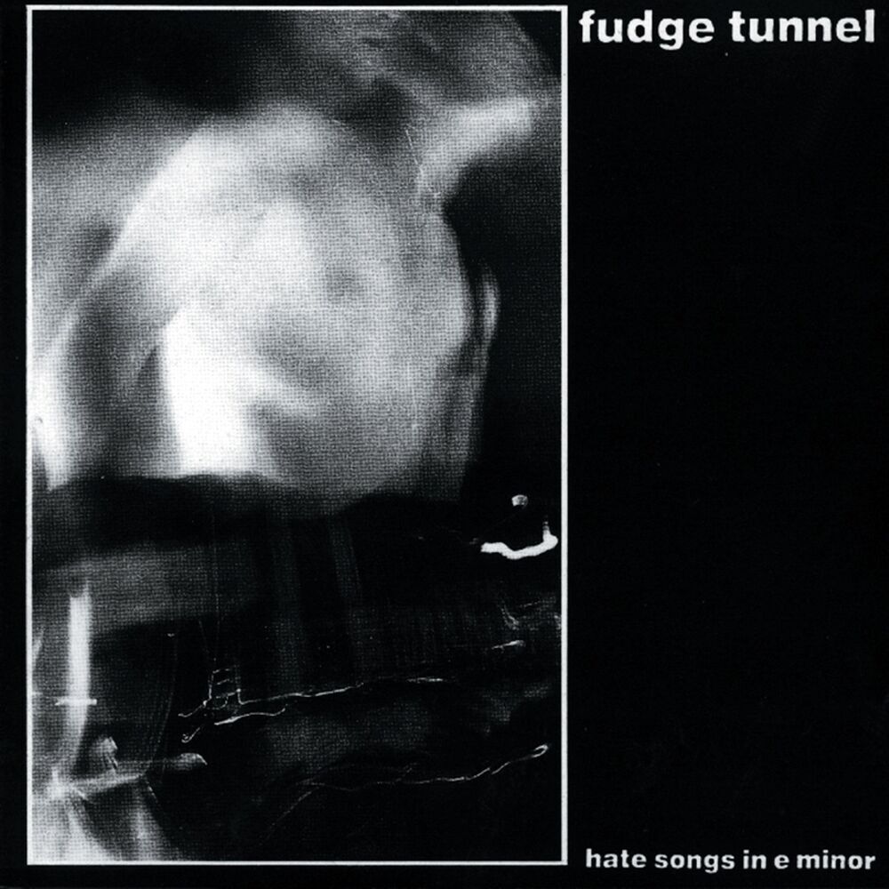 Picture of Fudge Tunnel