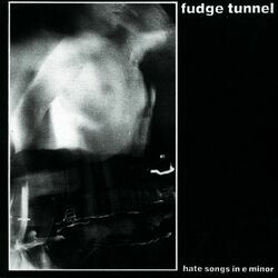 Picture of Fudge Tunnel