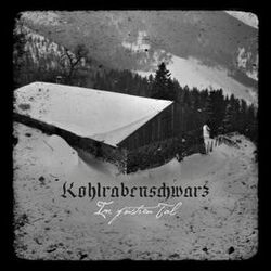 Kohlrabenschwarz