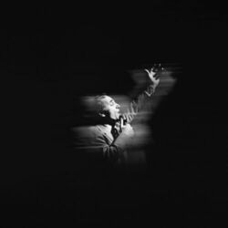 Picture of Shahin Shantiaei