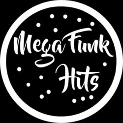 Picture of Mega Funk Hits