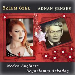 Picture of Özlem Özel