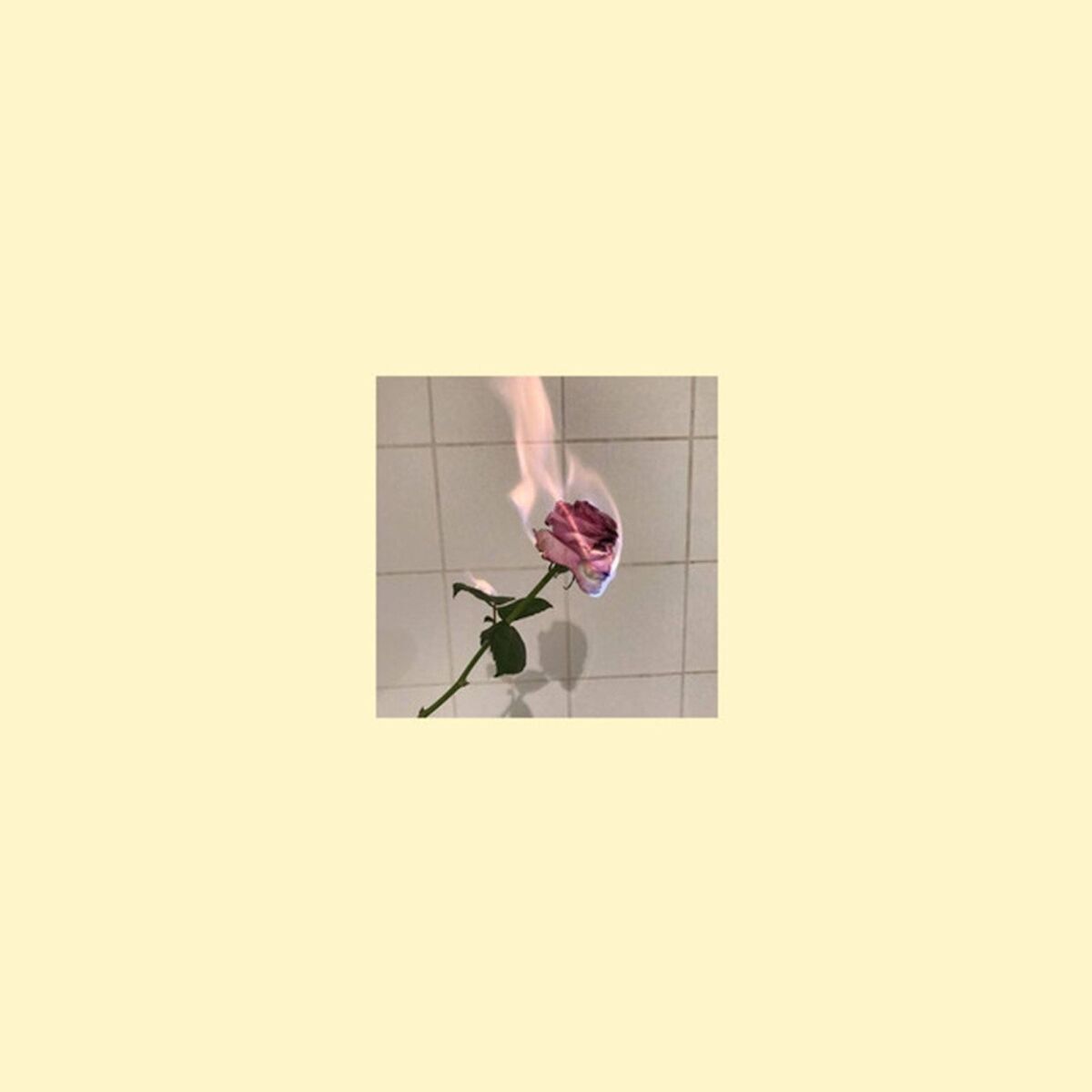 prxz