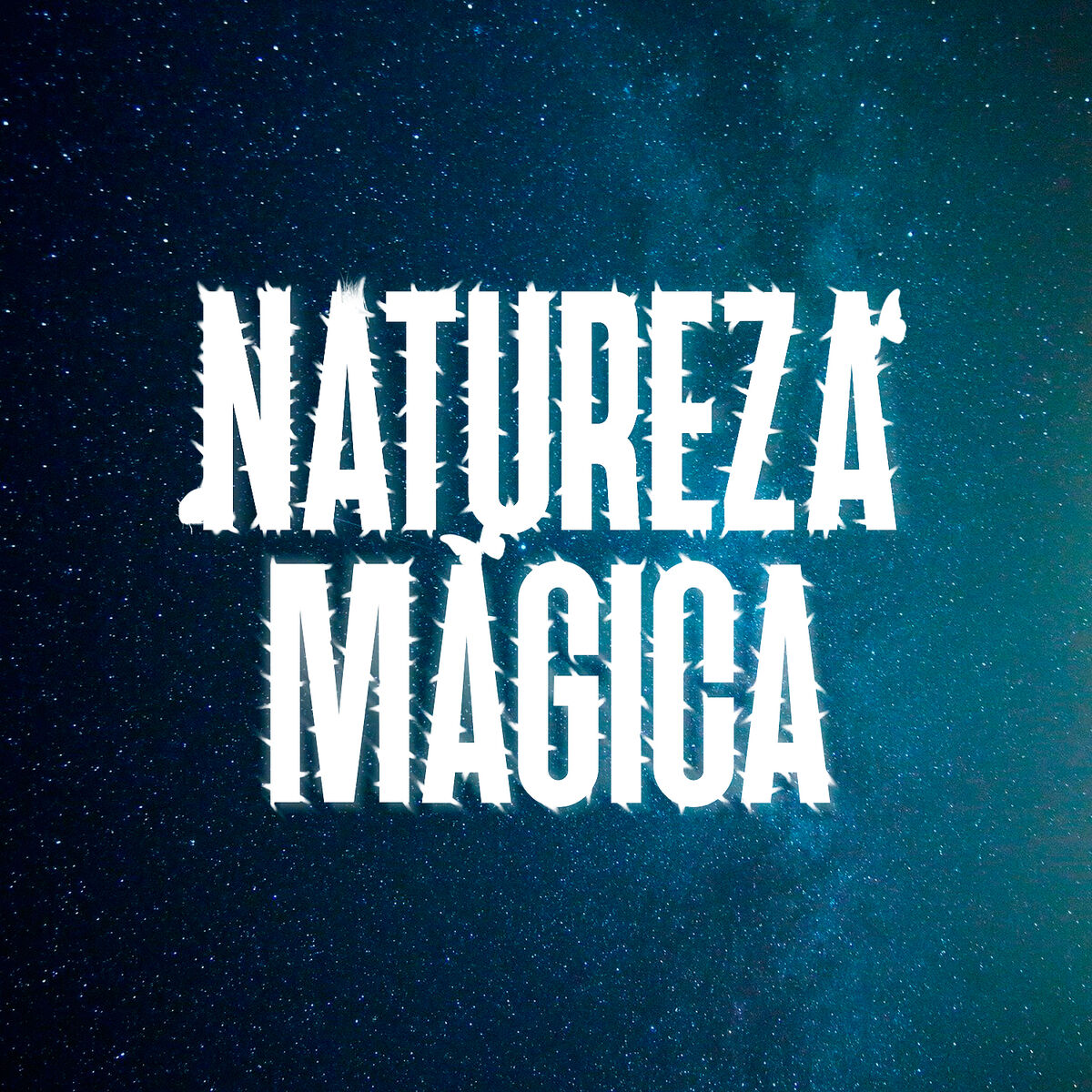 Artist picture of Natureza Mágica