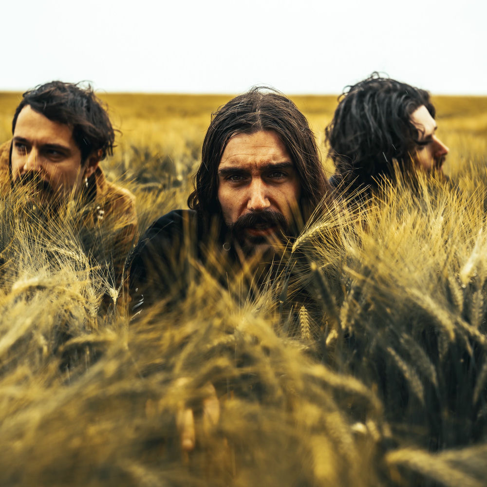 Photo de l'artiste Psychonaut