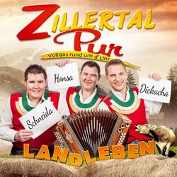 Picture of Zillertal Pur