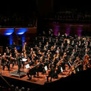 New Zealand Symphony Orchestra