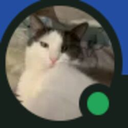 Picture of Enina