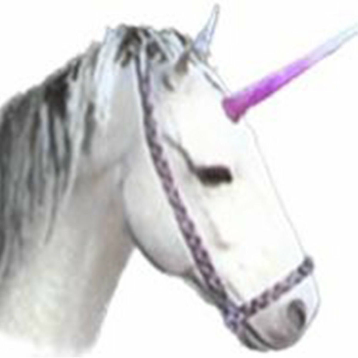 Artist picture of mietze conte