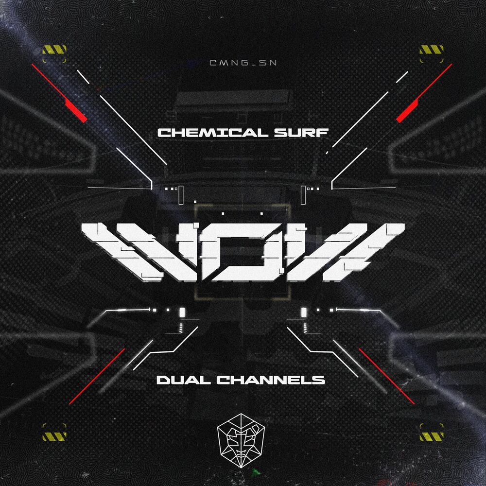 Picture of DUAL CHANNELS