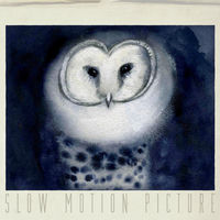 Slow Motion Picture