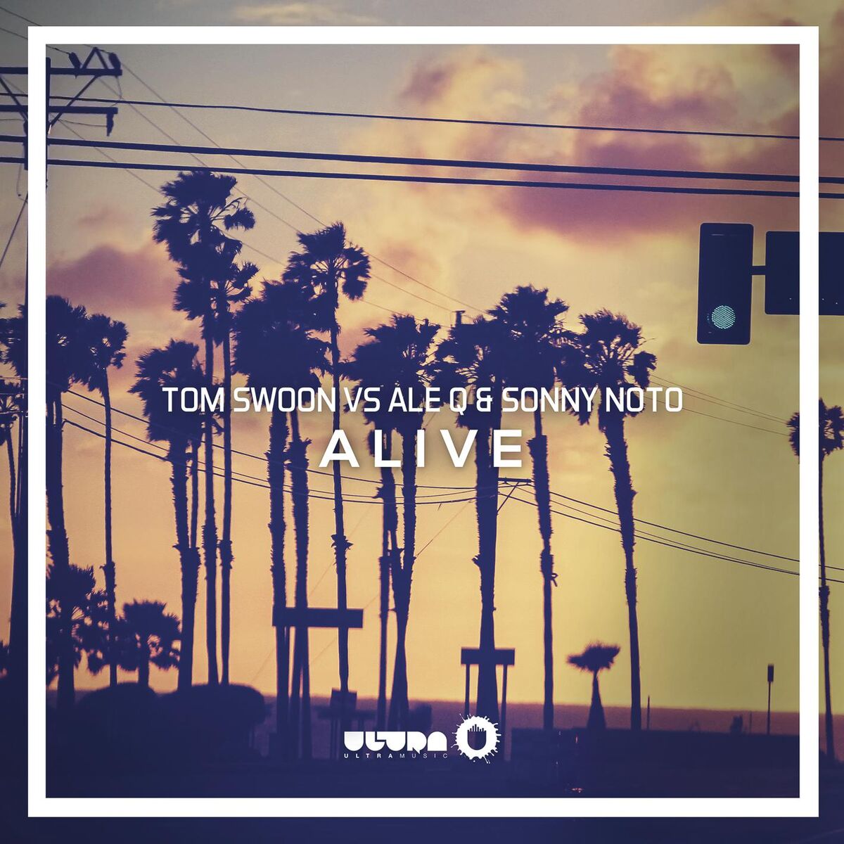 Tom Swoon