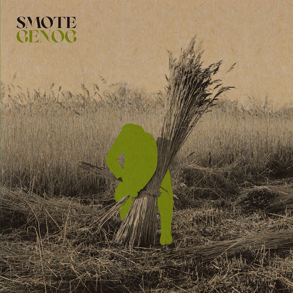 Picture of Smote