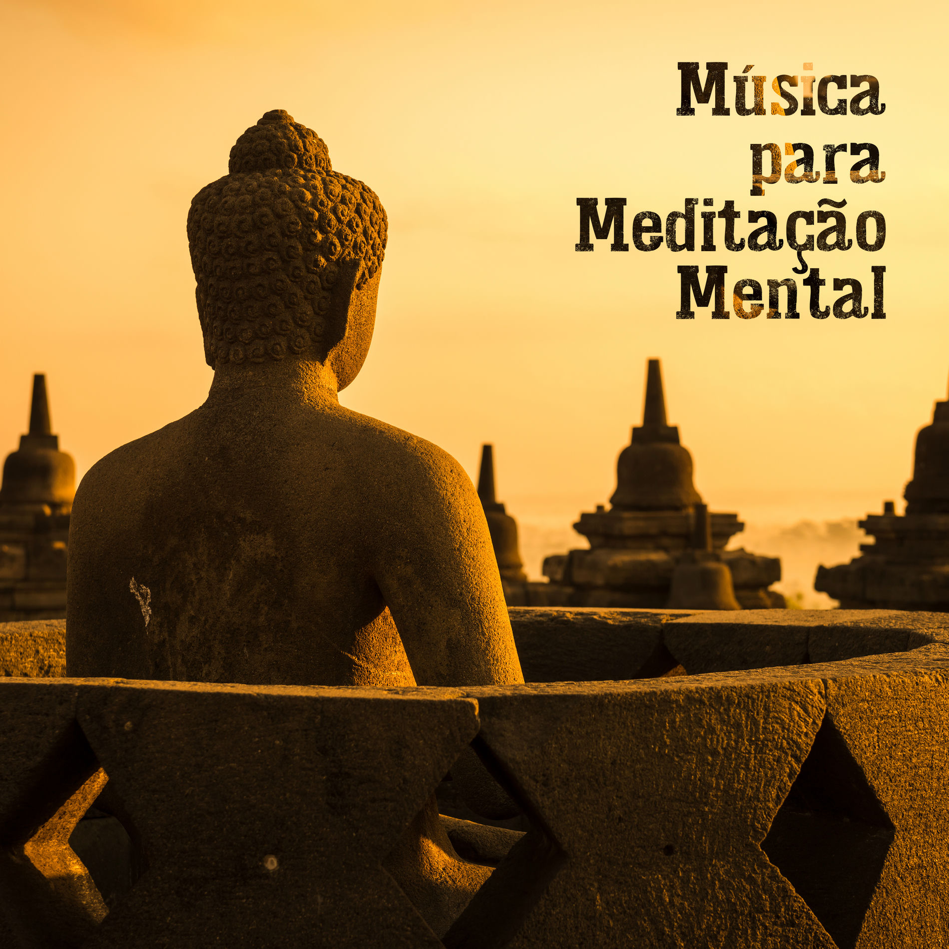 Artist picture of Meditação Música Ambiente