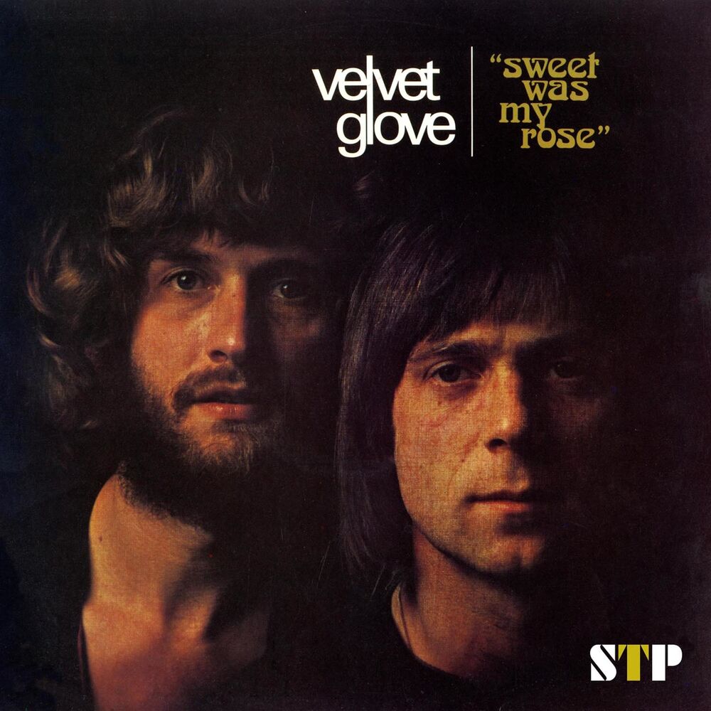 Picture of Velvet Glove