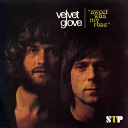 Picture of Velvet Glove
