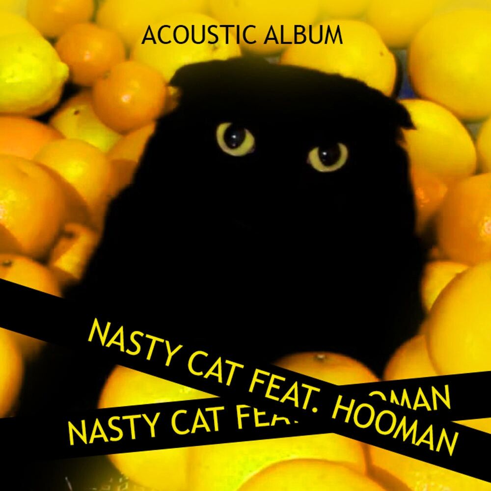 Picture of Nasty Cat