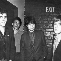 Picture of The Plimsouls