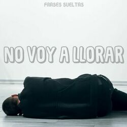 Picture of Frases Sueltas