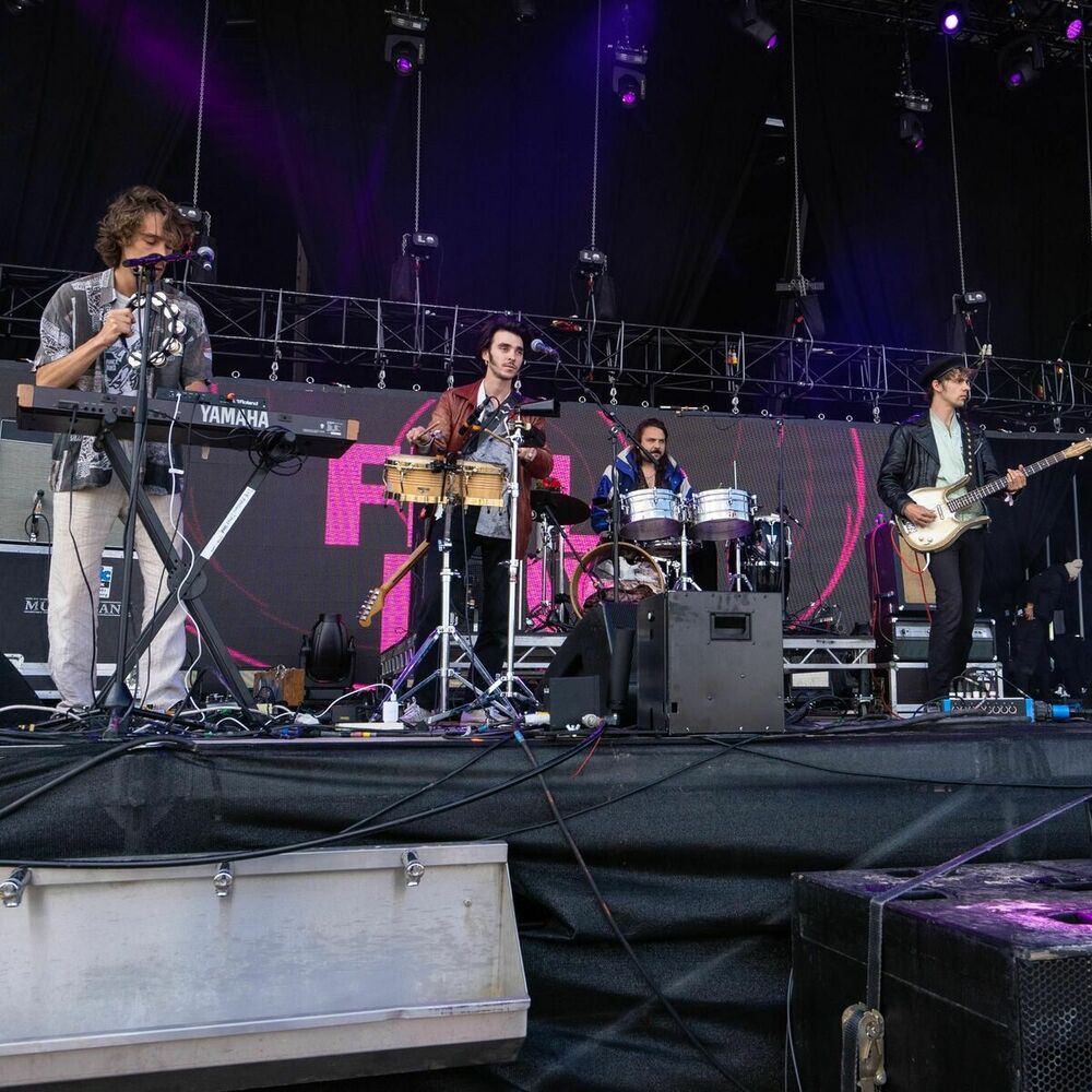 Picture of The Mauskovic Dance Band