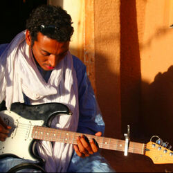 Picture of BOMBINO