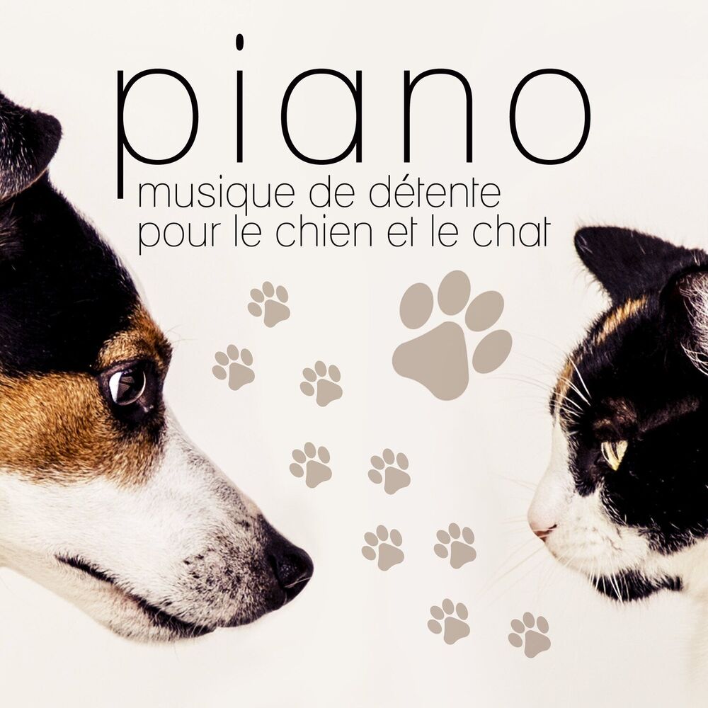 Picture of Instrumental Piano Universe