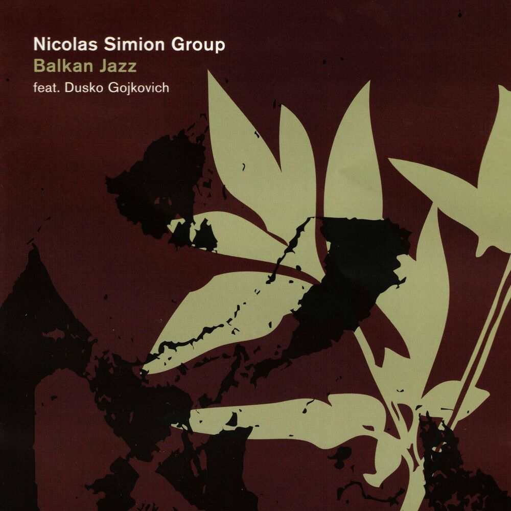 Picture of Nicolas Simion