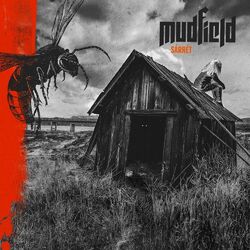 Picture of Mudfield