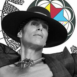 Picture of Perry Farrell