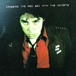 Picture of The Adverts