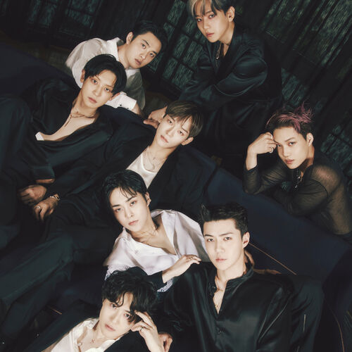 EXO ベッキョン everline musickorea ラキドロ アイドルグッズ