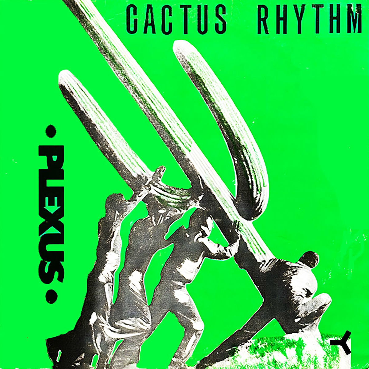 Plexus