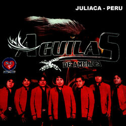 Picture of Aguilas de America