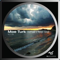 Picture of Moe Turk