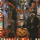 i wanna be a jack-o-lantern