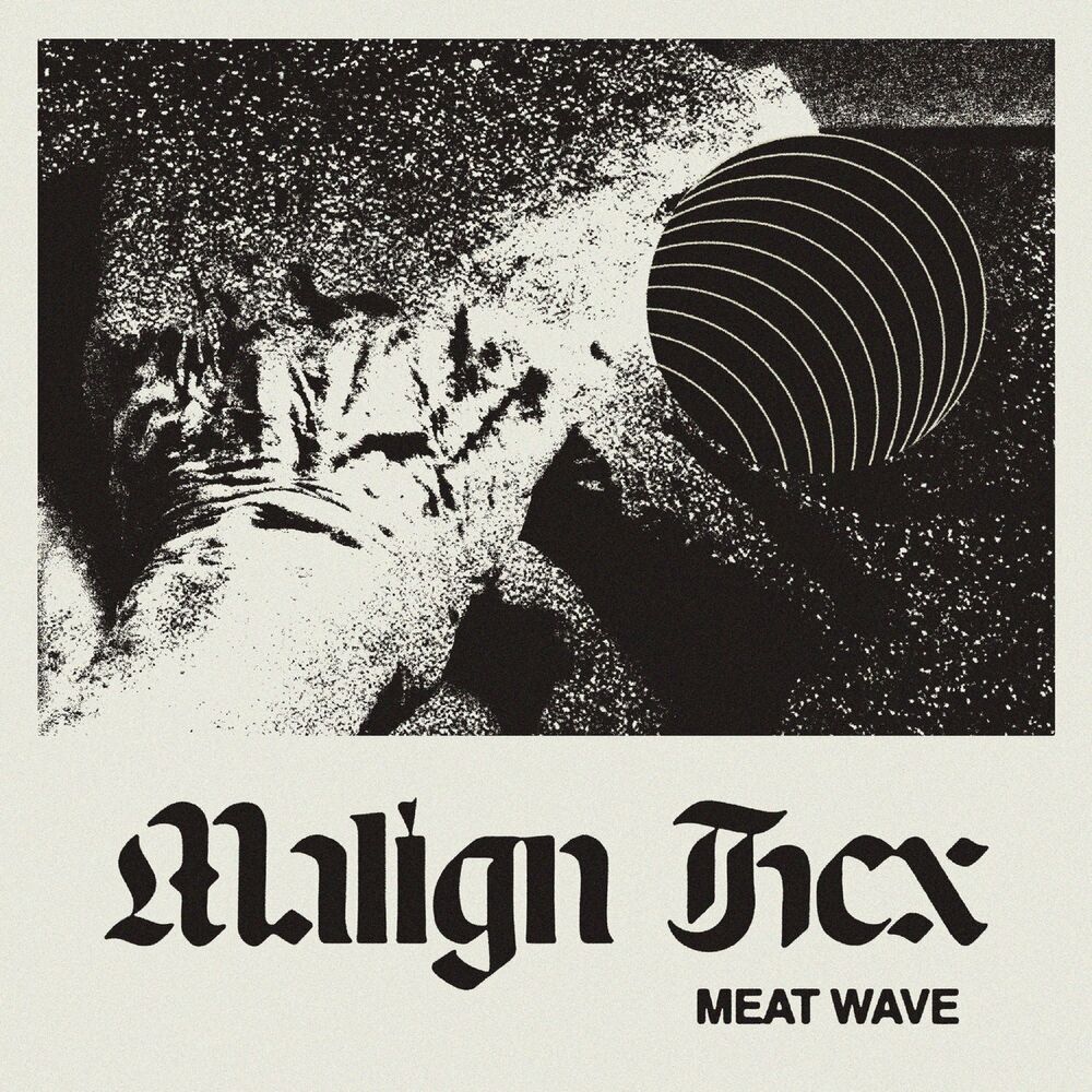 Picture of Meat Wave