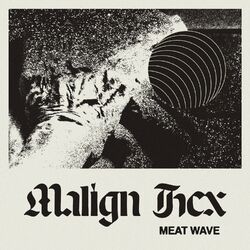 Picture of Meat Wave