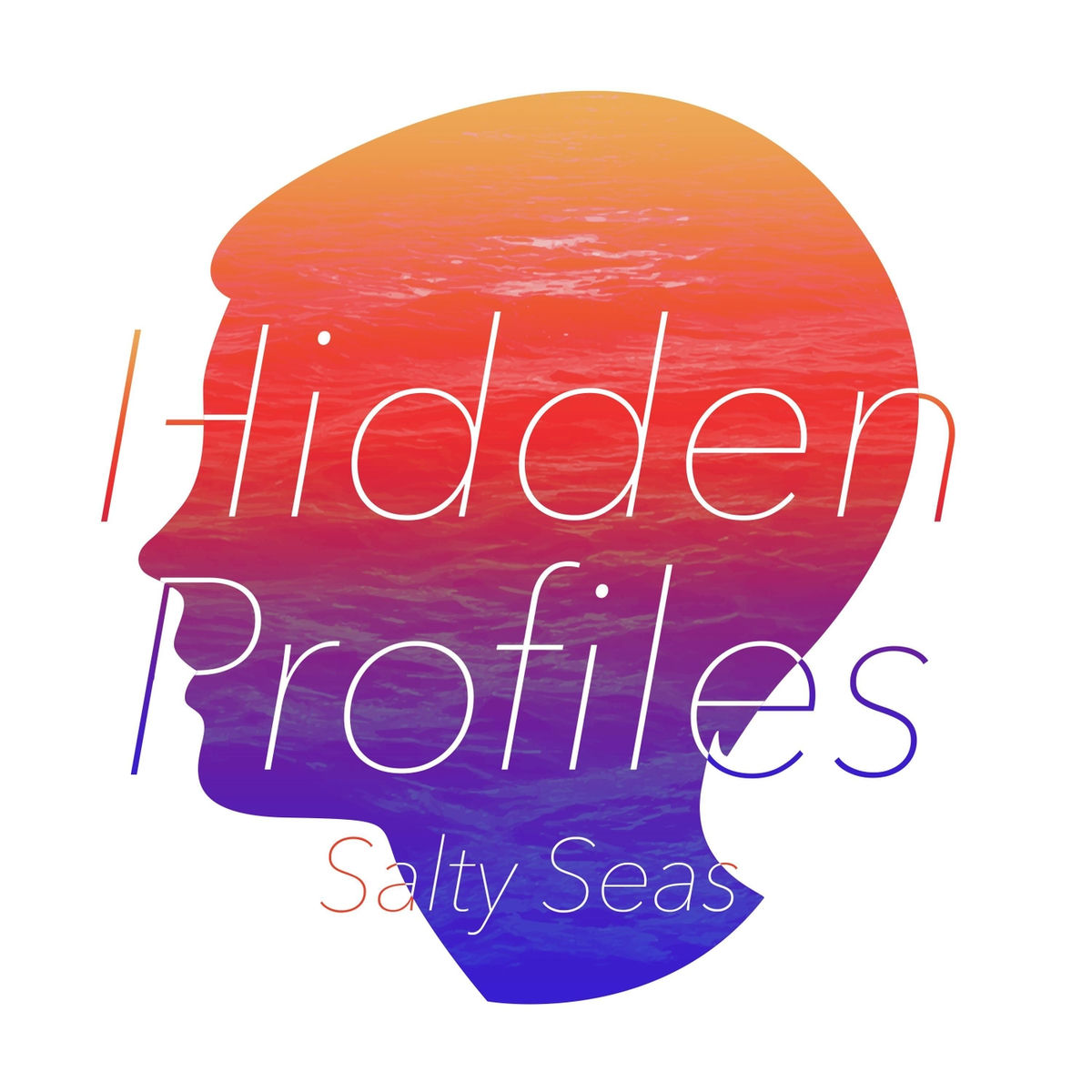 Artist picture of Hidden Profiles