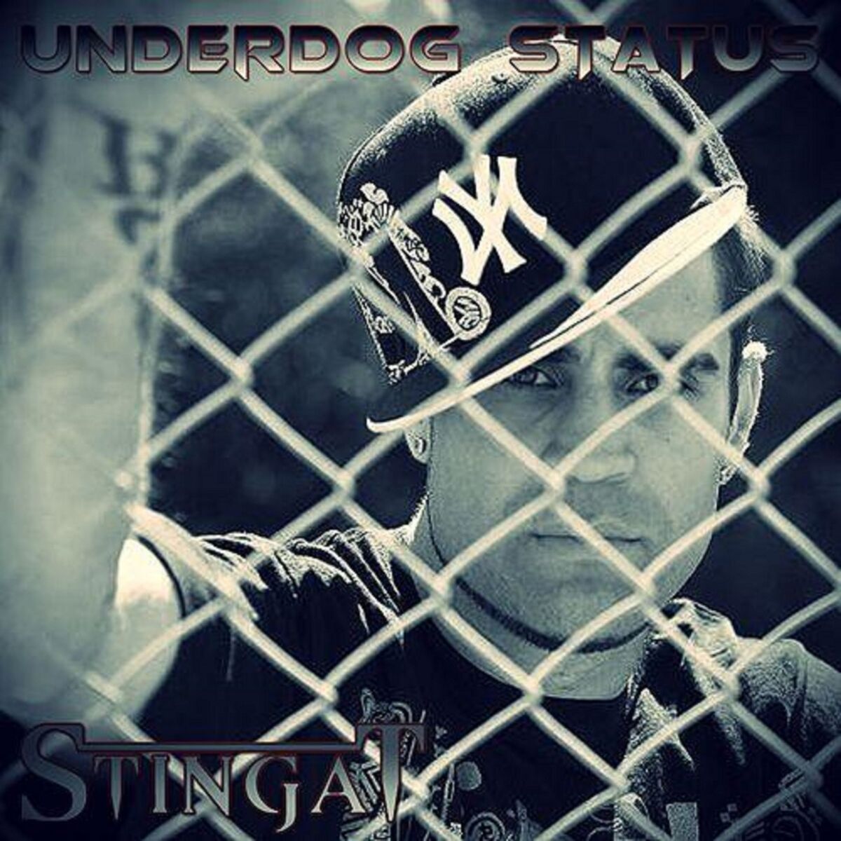 Artist picture of STINGA T