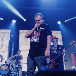 Picture of Kult