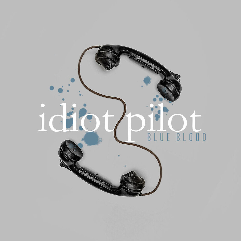 Picture of Idiot Pilot