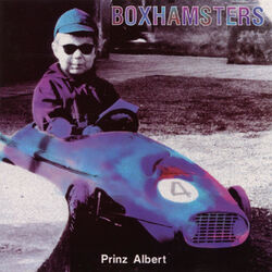 Picture of Boxhamsters