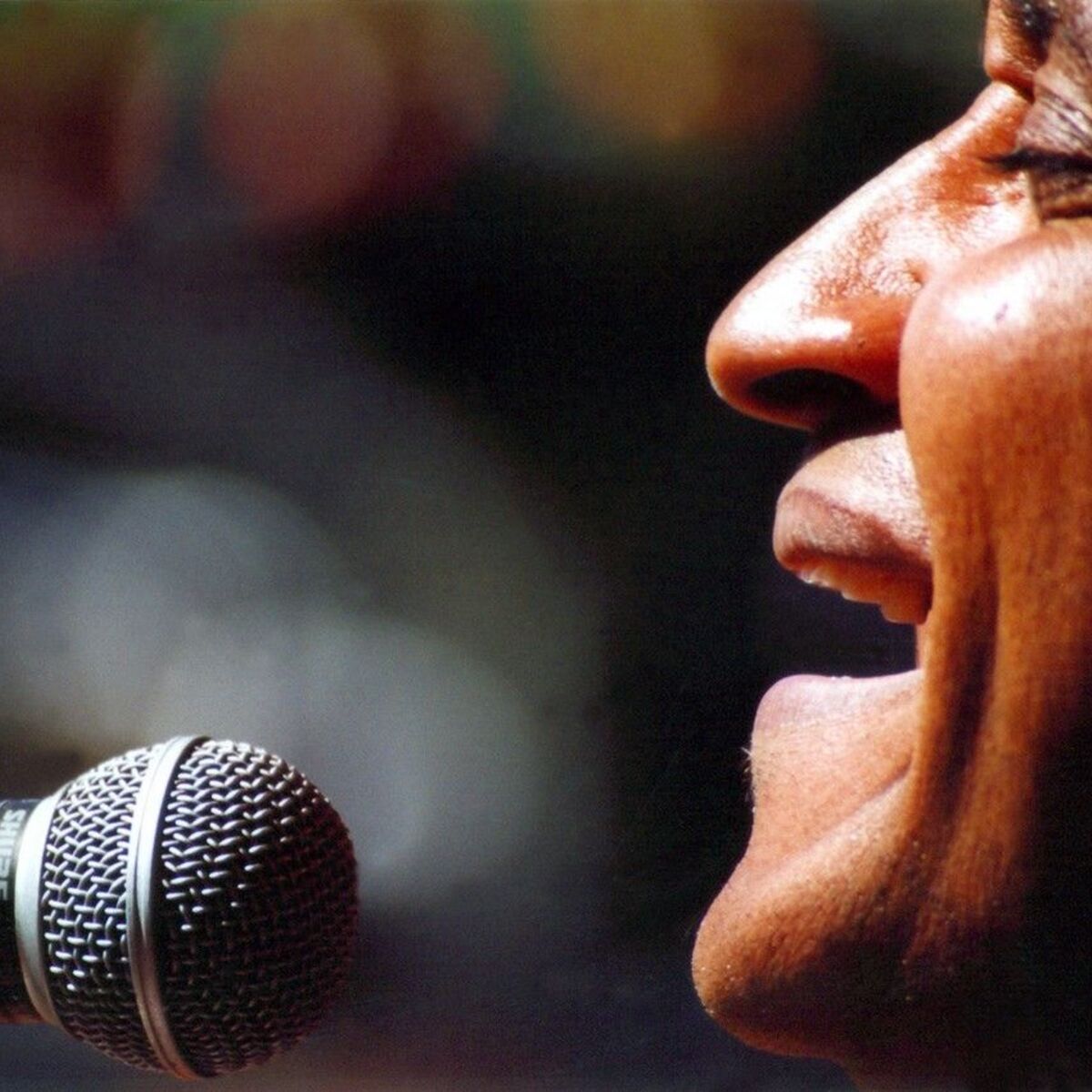Waldemar Bastos