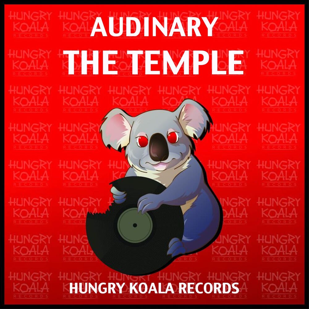 Picture of Audinary