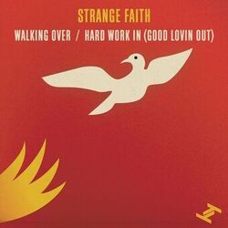 Picture of Strange Faith