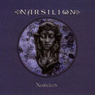 Narsilion